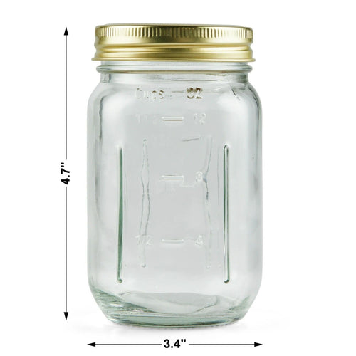 16 oz Regular Mouth Mason Jars with Lids & Rings T584