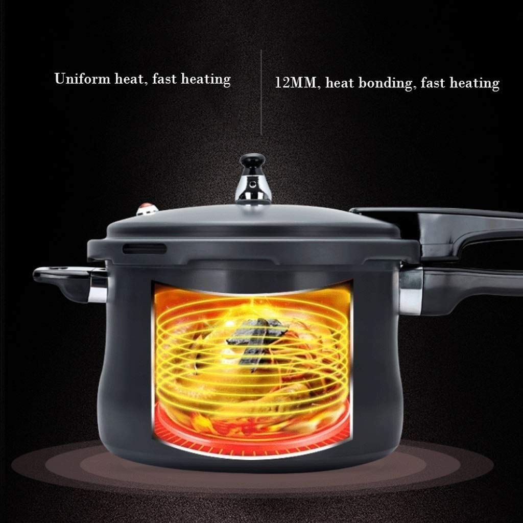 Stainless Steel Dishwasher Safe Cadmium Free Pressure Cooker Black 3L T577937