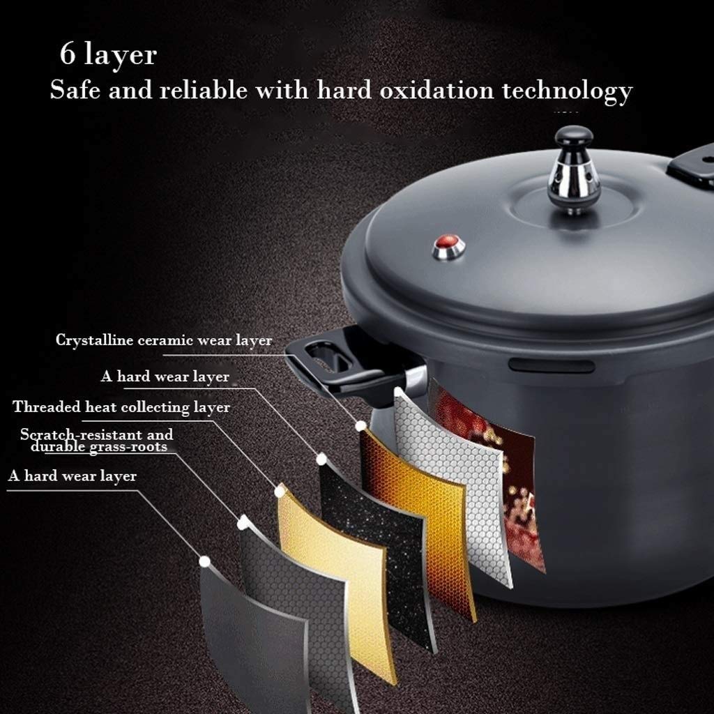 Stainless Steel Dishwasher Safe Cadmium Free Pressure Cooker Black 3L T577937