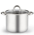 8 Quart Stainless Steel Stock Pot with Lid H457742