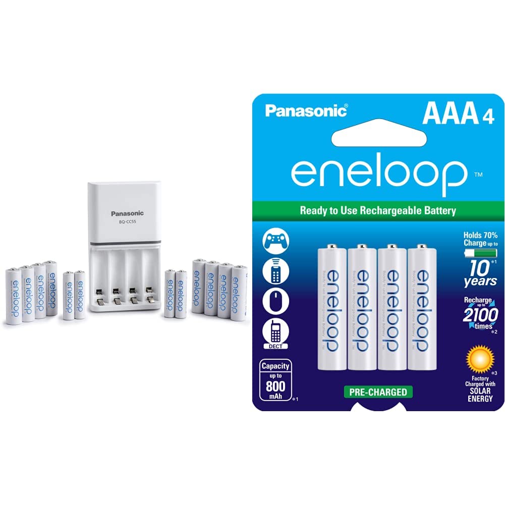 8AA 4AAA Ni-MH Rechargeable Batteries with Quick Charger R381