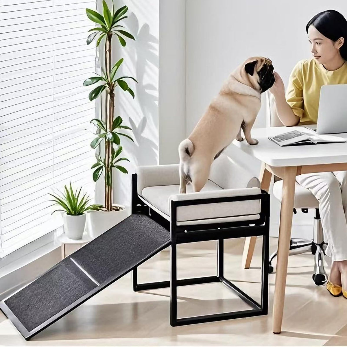 Extra Wide Non Slip Dog Stairs with Wheels C7262