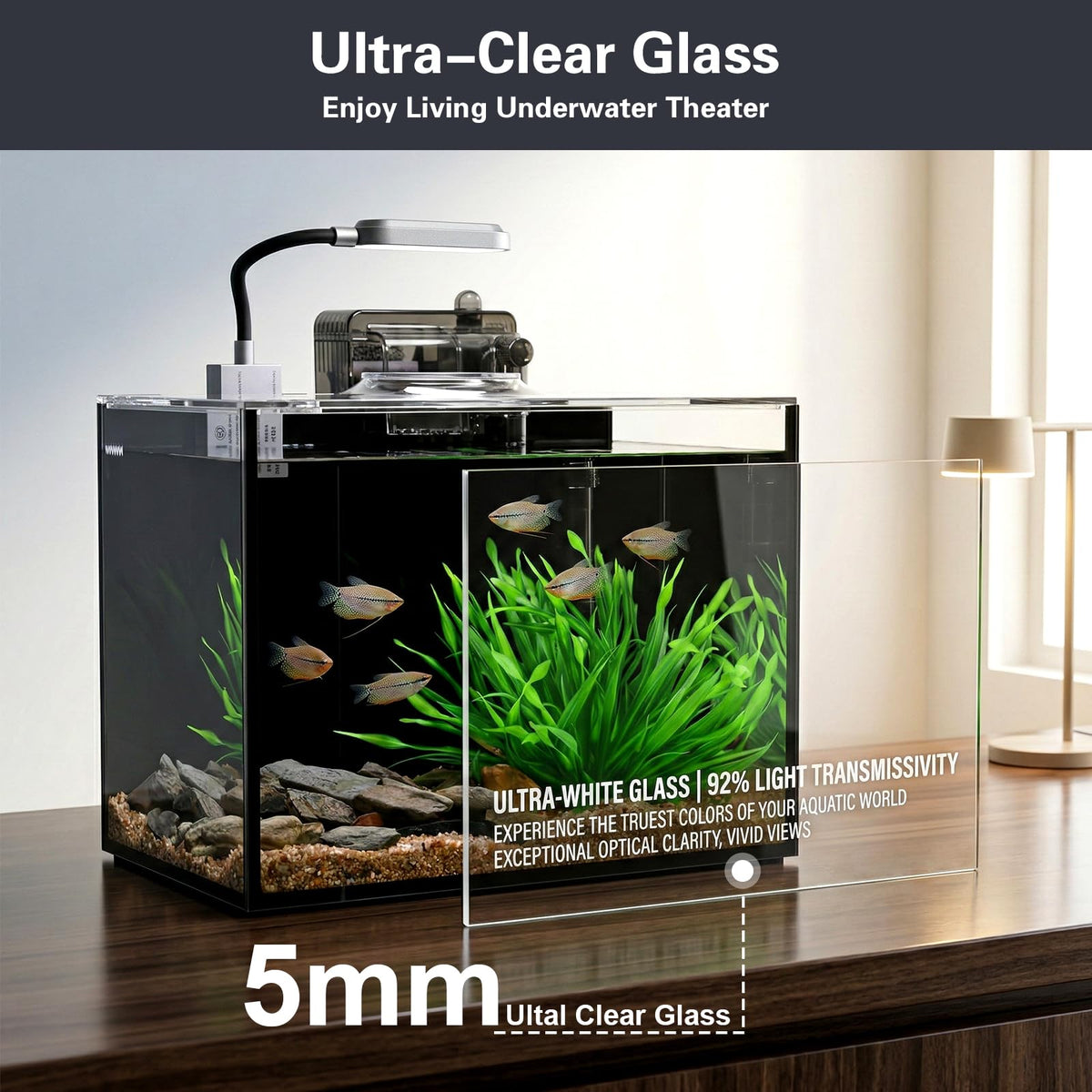 2 Gallon Glass Aquarium Set K233