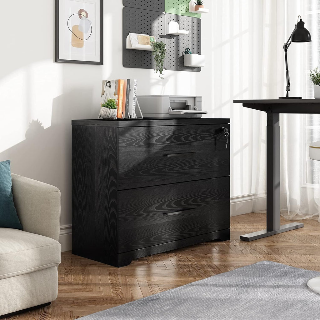 Black 2 Drawer Lateral File Cabinet with Lock E9190