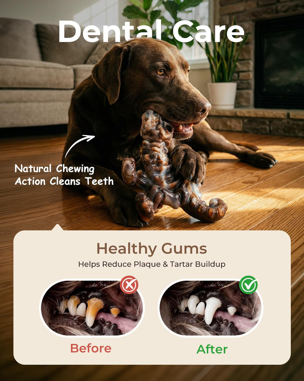 2-Pack Tough Dog Chew Toys Y78420