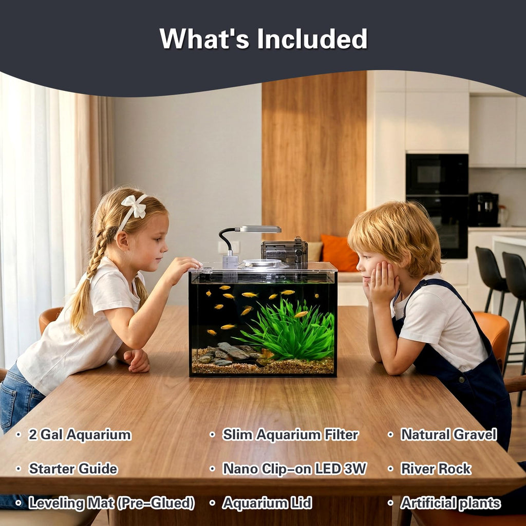 2 Gallon Glass Aquarium Set K233