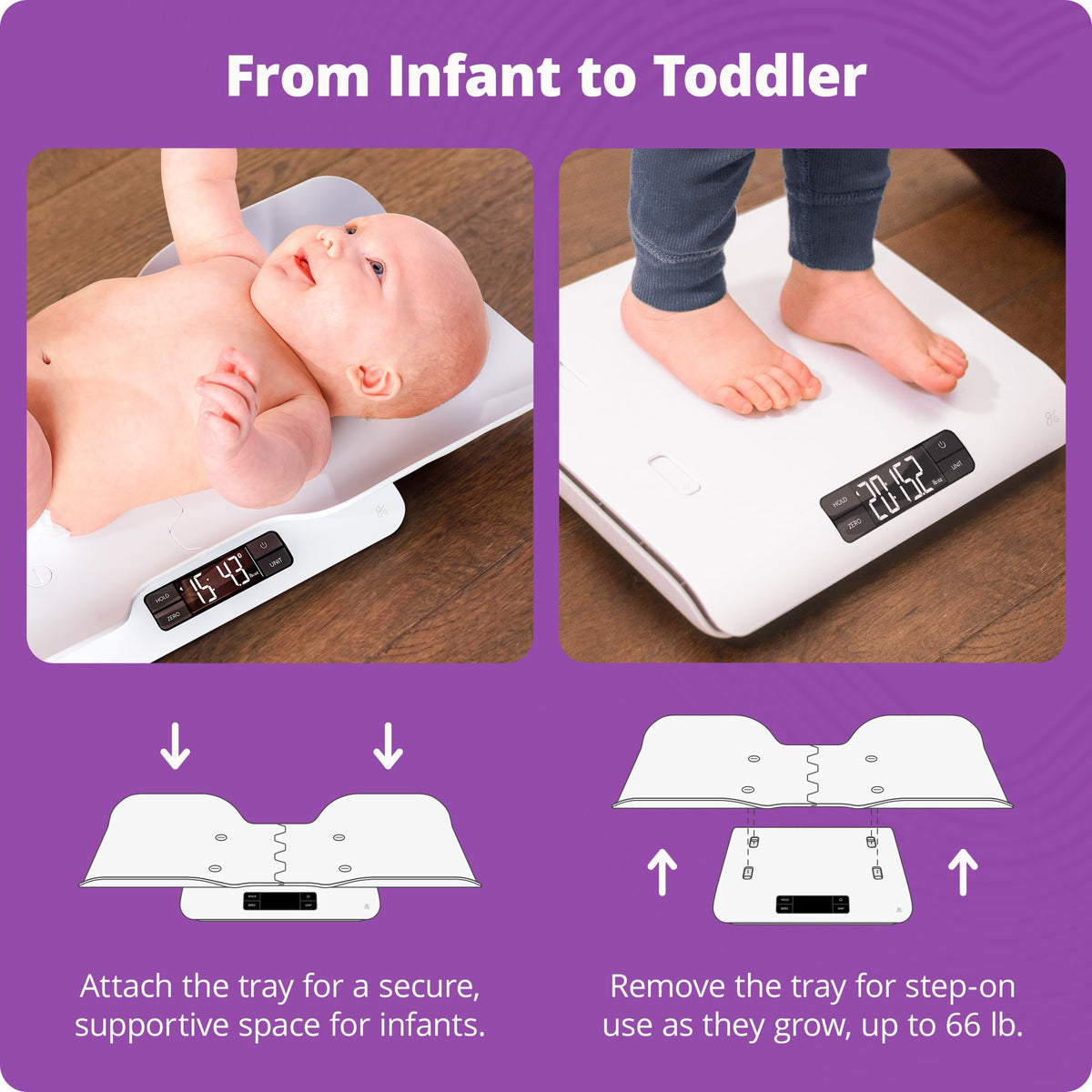 Smart Baby Scale C296725