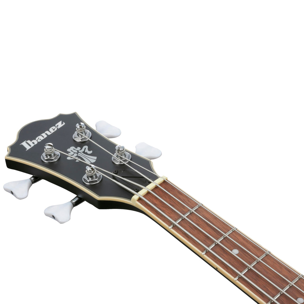 Black Flat Semi-hollow Bass Guitar Y399