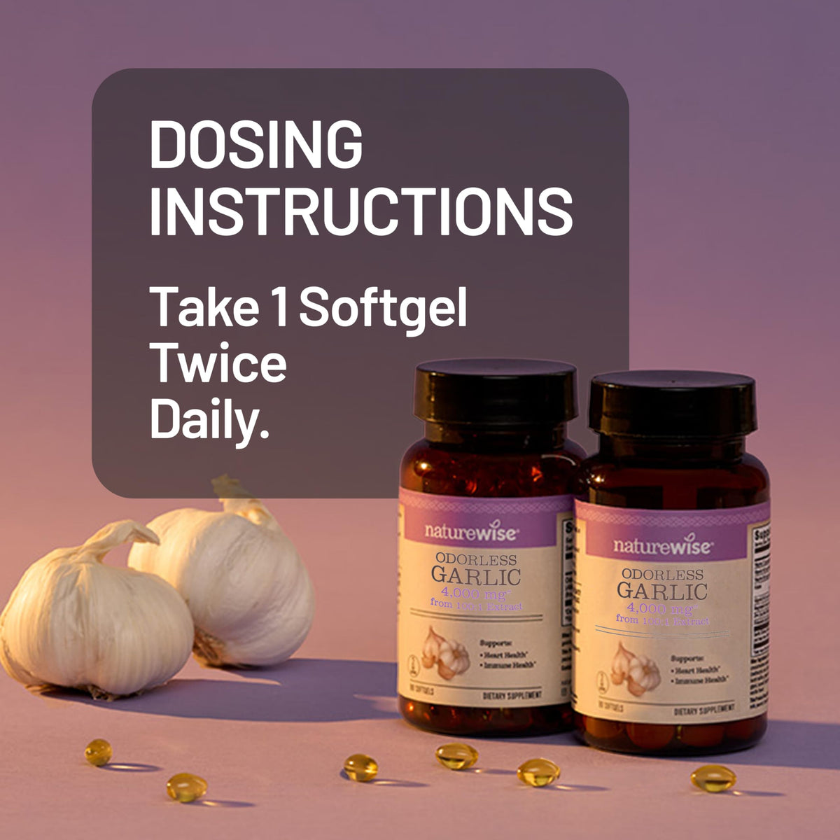 Odorless Garlic Supplement 4000mg 60 Count W833729