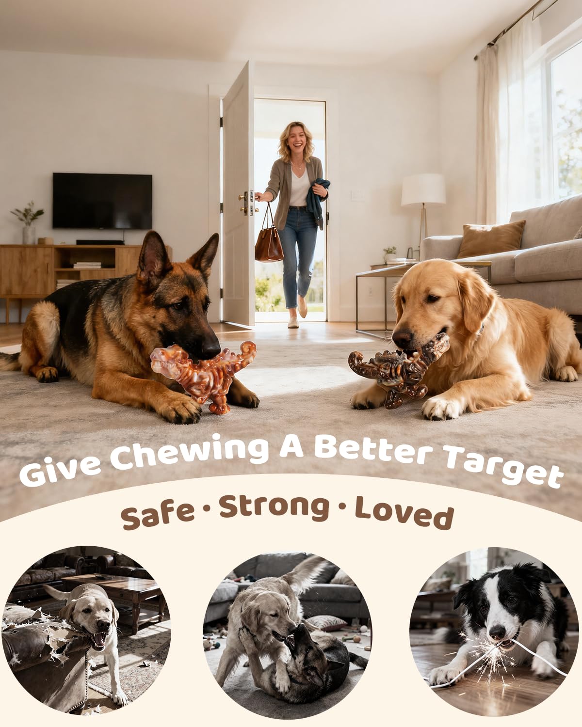 2-Pack Tough Dog Chew Toys Y78420
