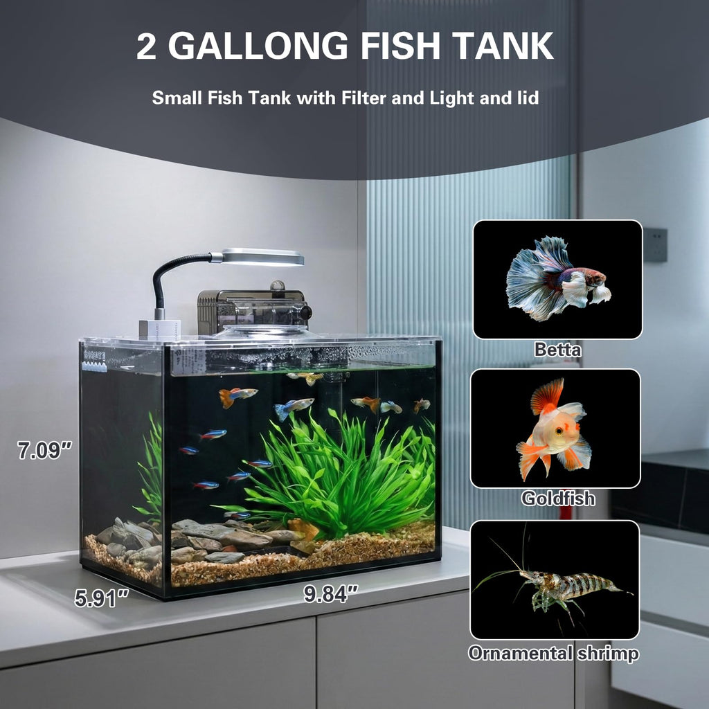 2 Gallon Glass Aquarium Set K233