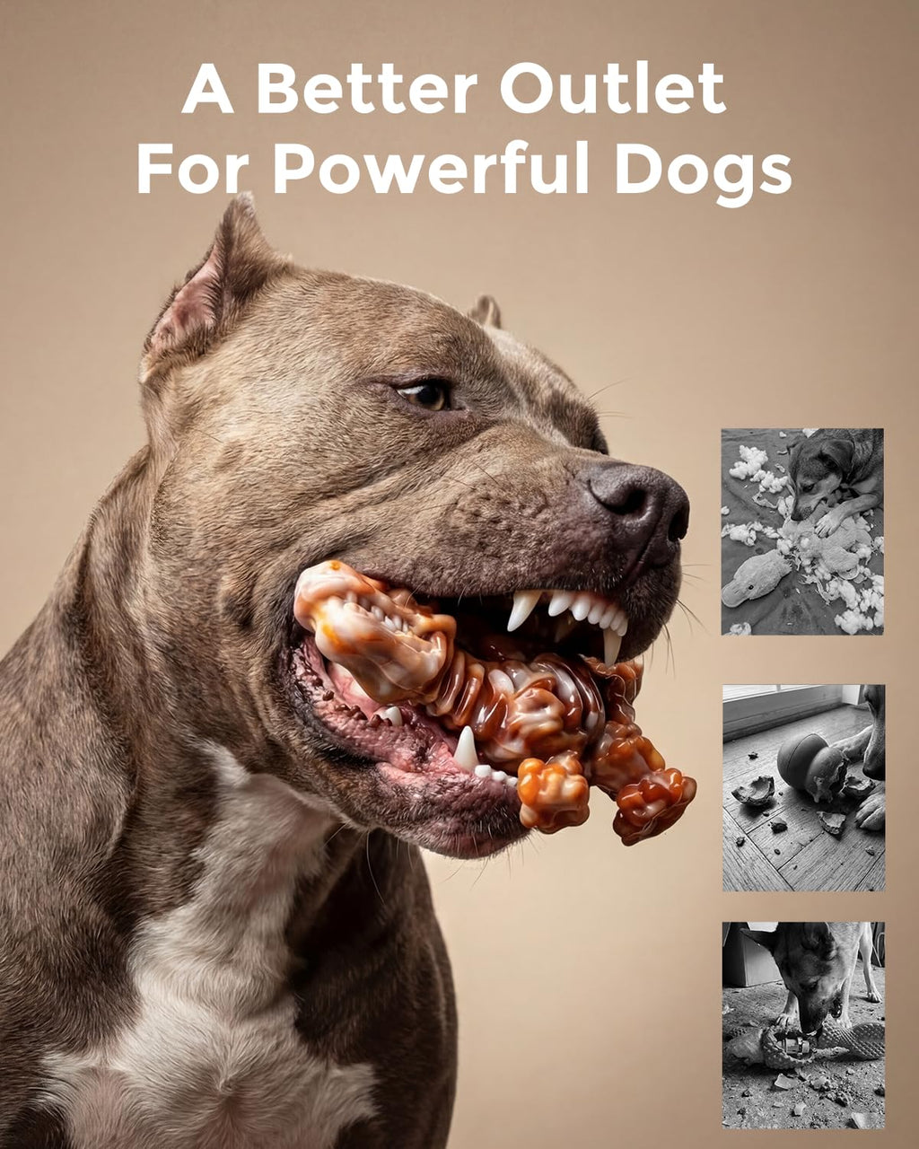 2-Pack Tough Dog Chew Toys Y78420