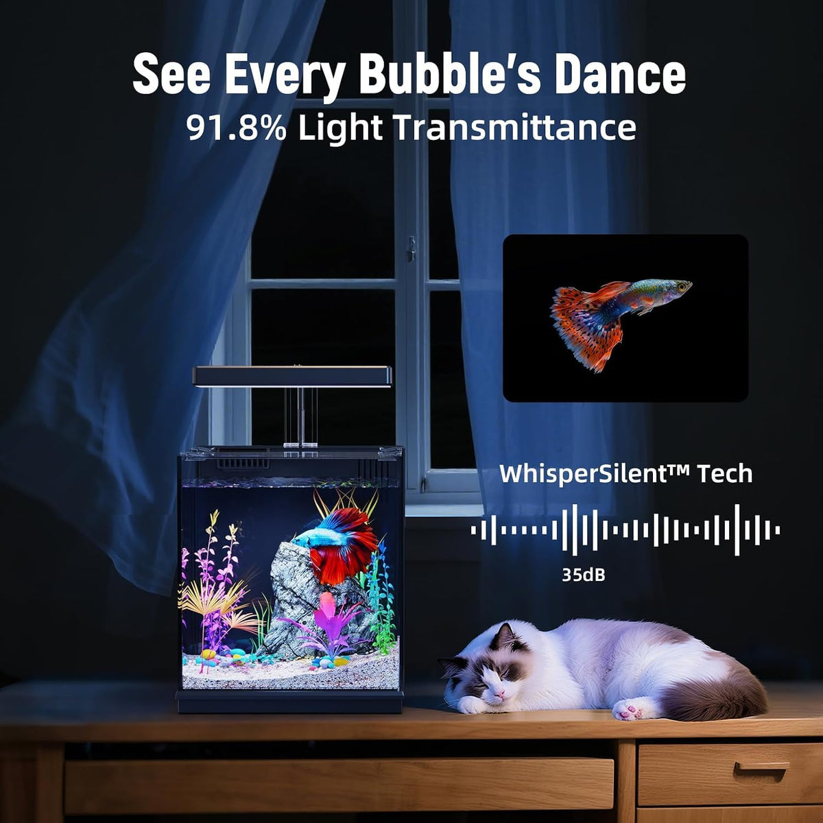 2 Gallon All-in-One Aquarium Kit with Filtration & LED Light K878201