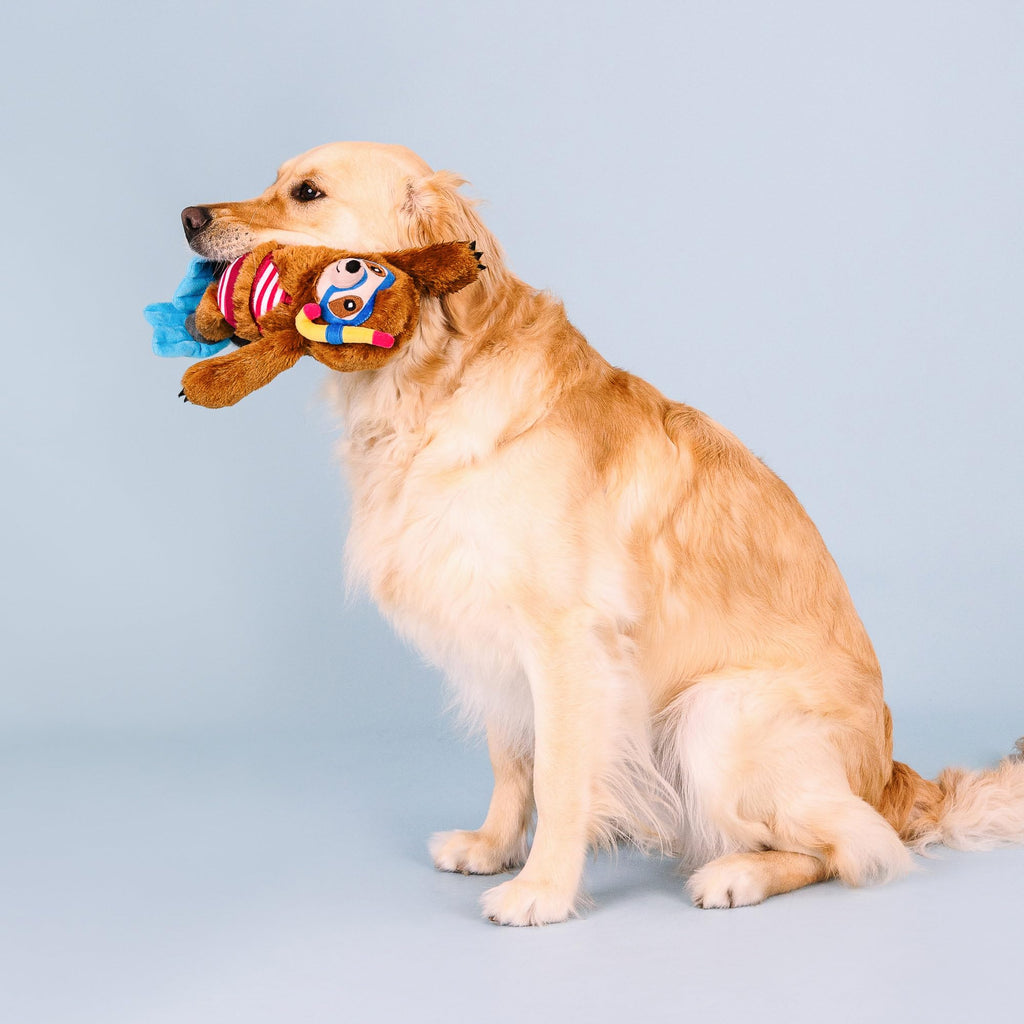 Plush Dog Toy X9716