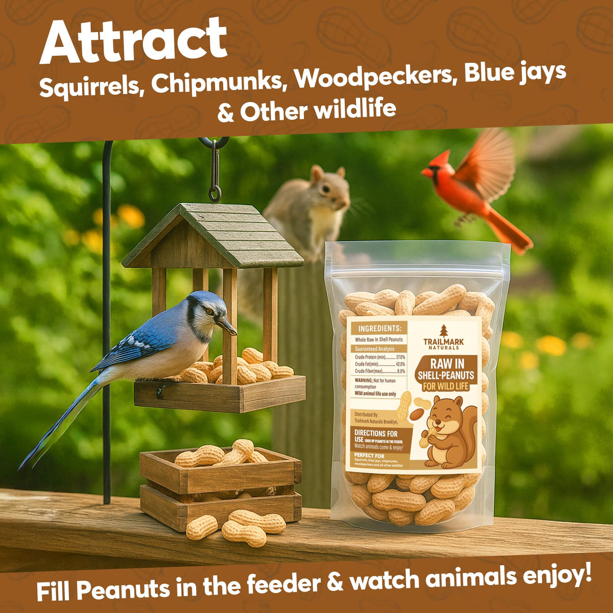 Raw Peanuts for Squirrels and Birds, 2 Pack of 5 Lb Bags Z13592