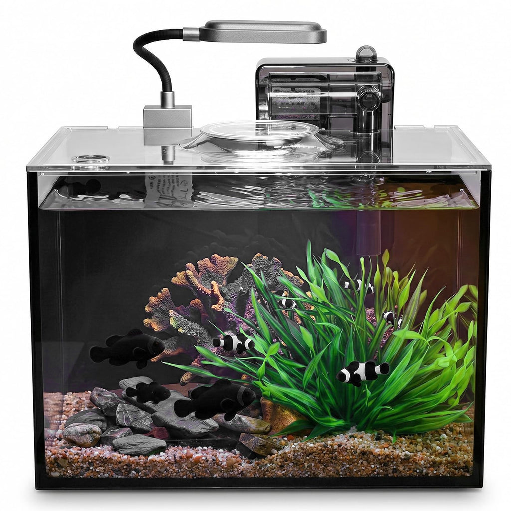 2 Gallon Glass Aquarium Set K233