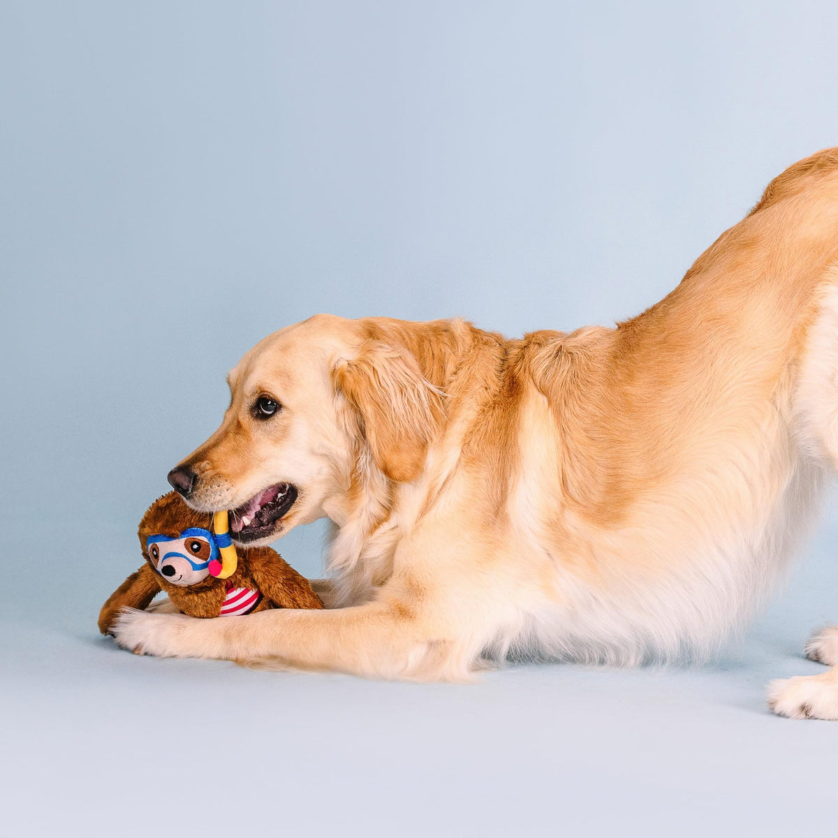 Plush Dog Toy X9716