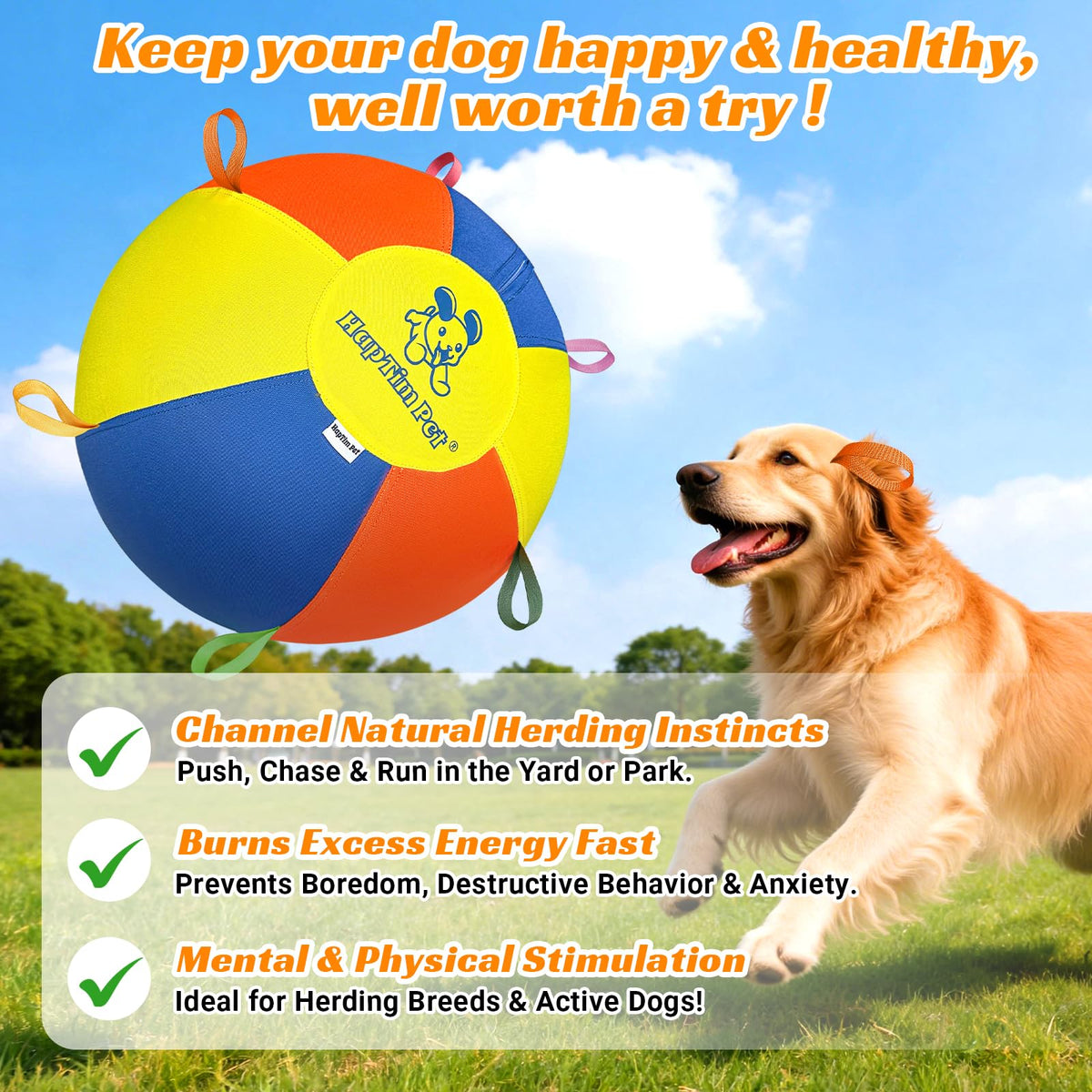 22" Heavy Duty Herding Ball for Dogs N1766