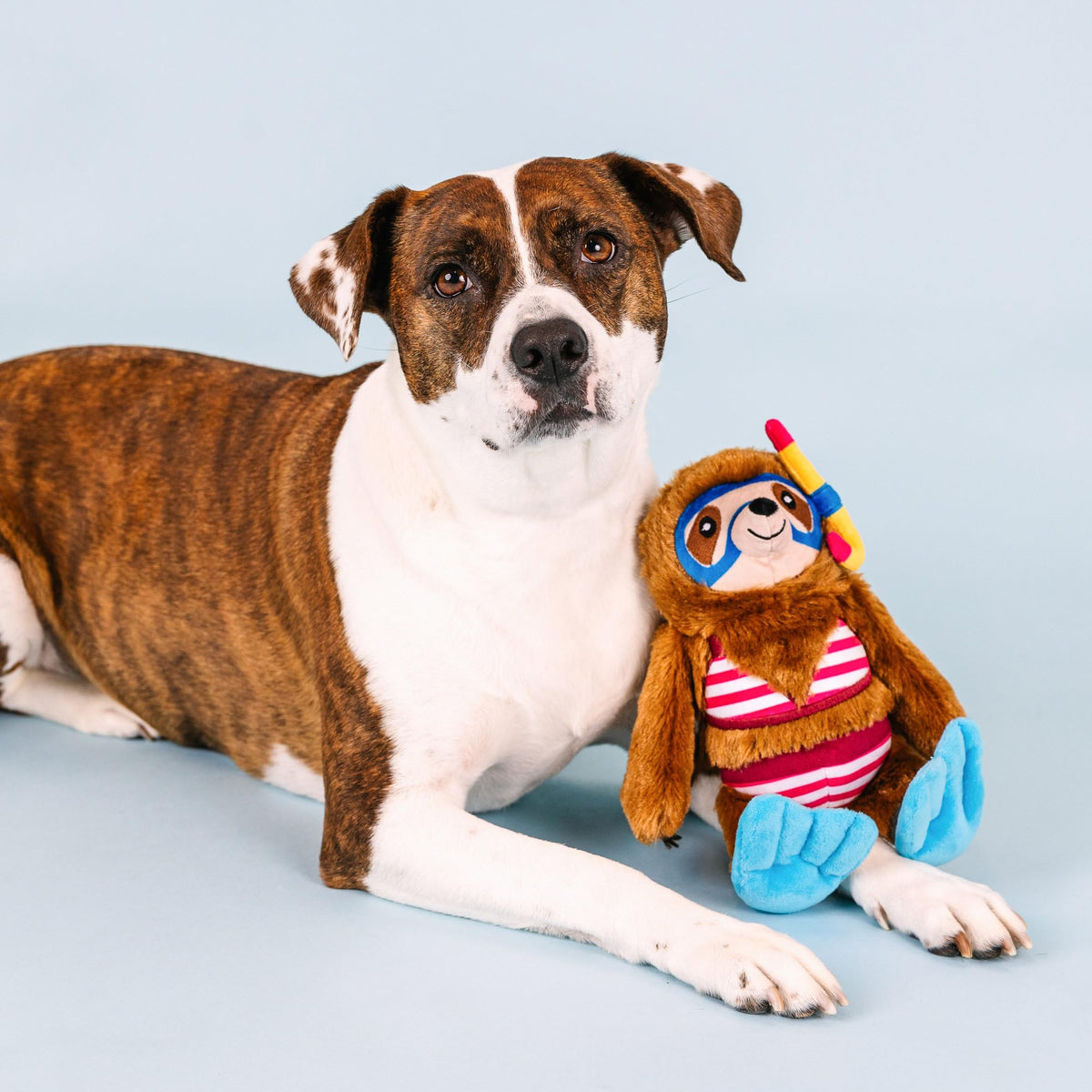Plush Dog Toy X9716