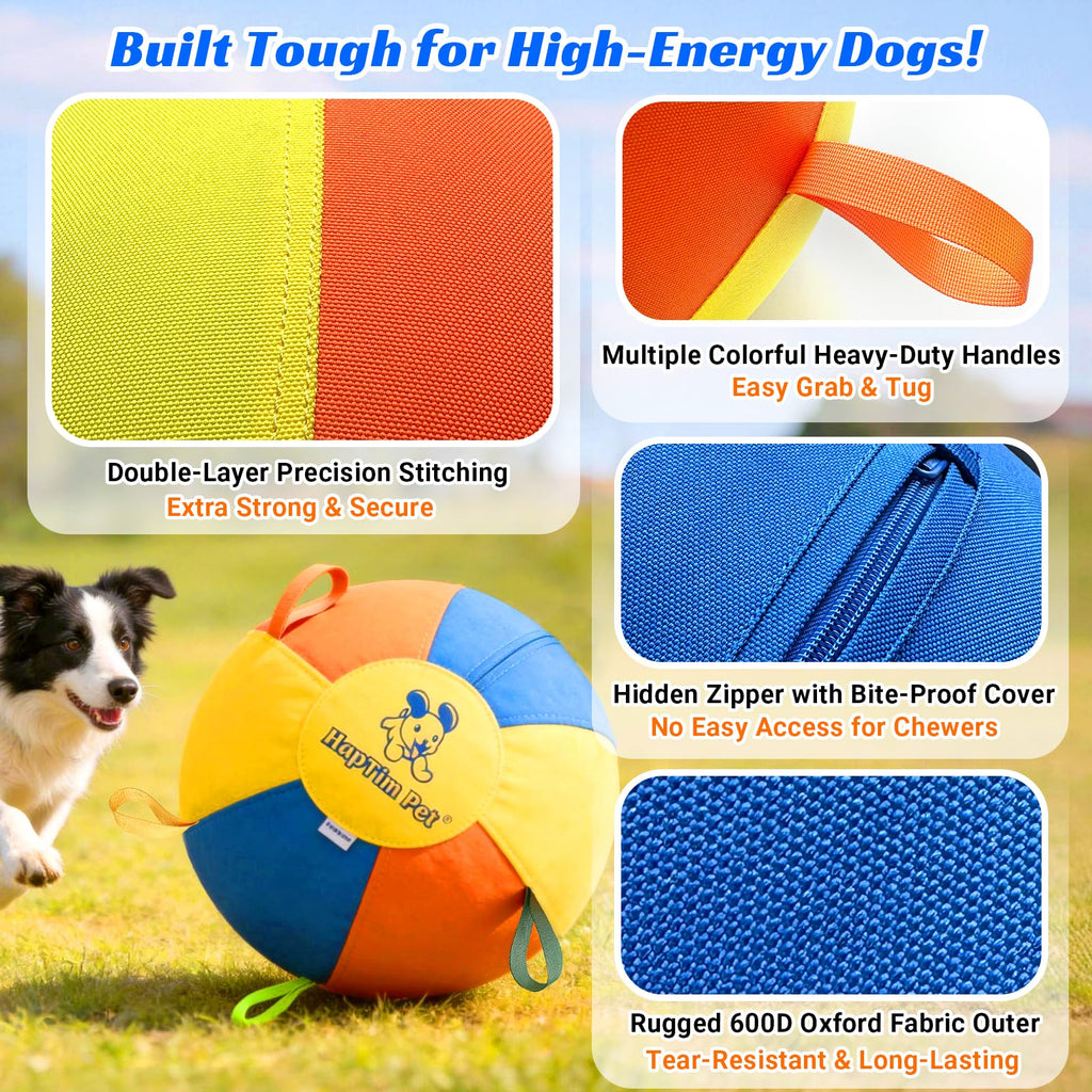 22" Heavy Duty Herding Ball for Dogs N1766