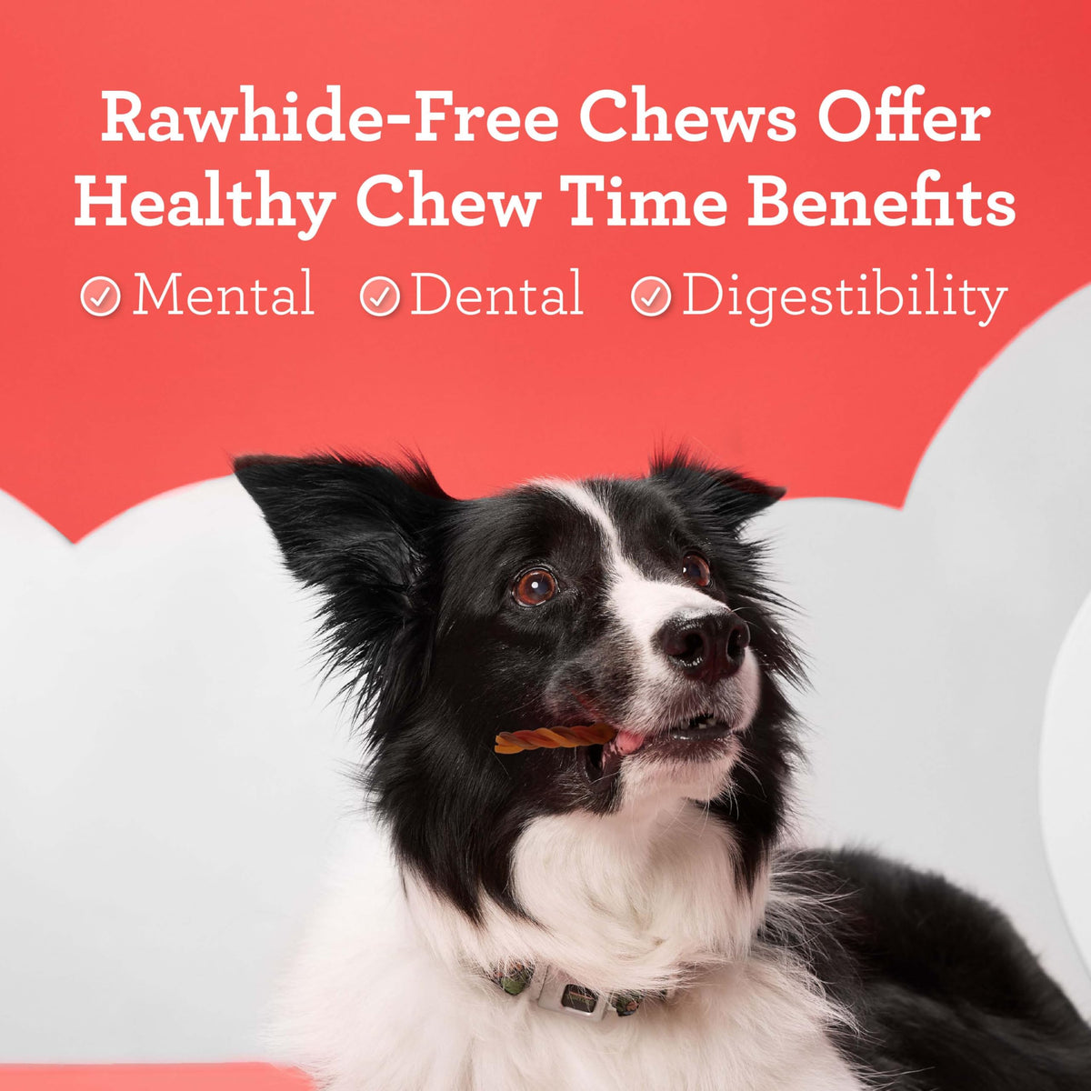 Rawhide-Free Dog Treats with Real Protein, 25 Count X187912