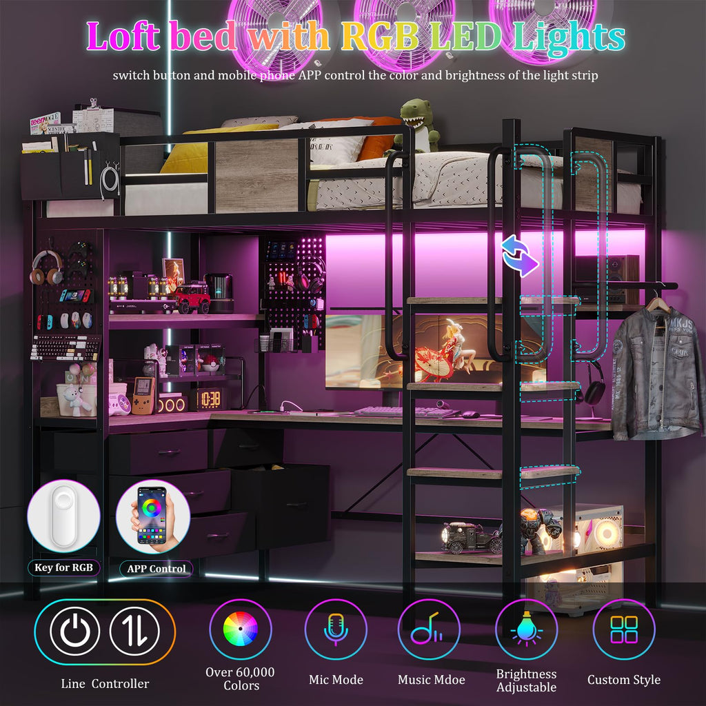 Twin Size Loft Bed with Desk and 5 Drawer M1699