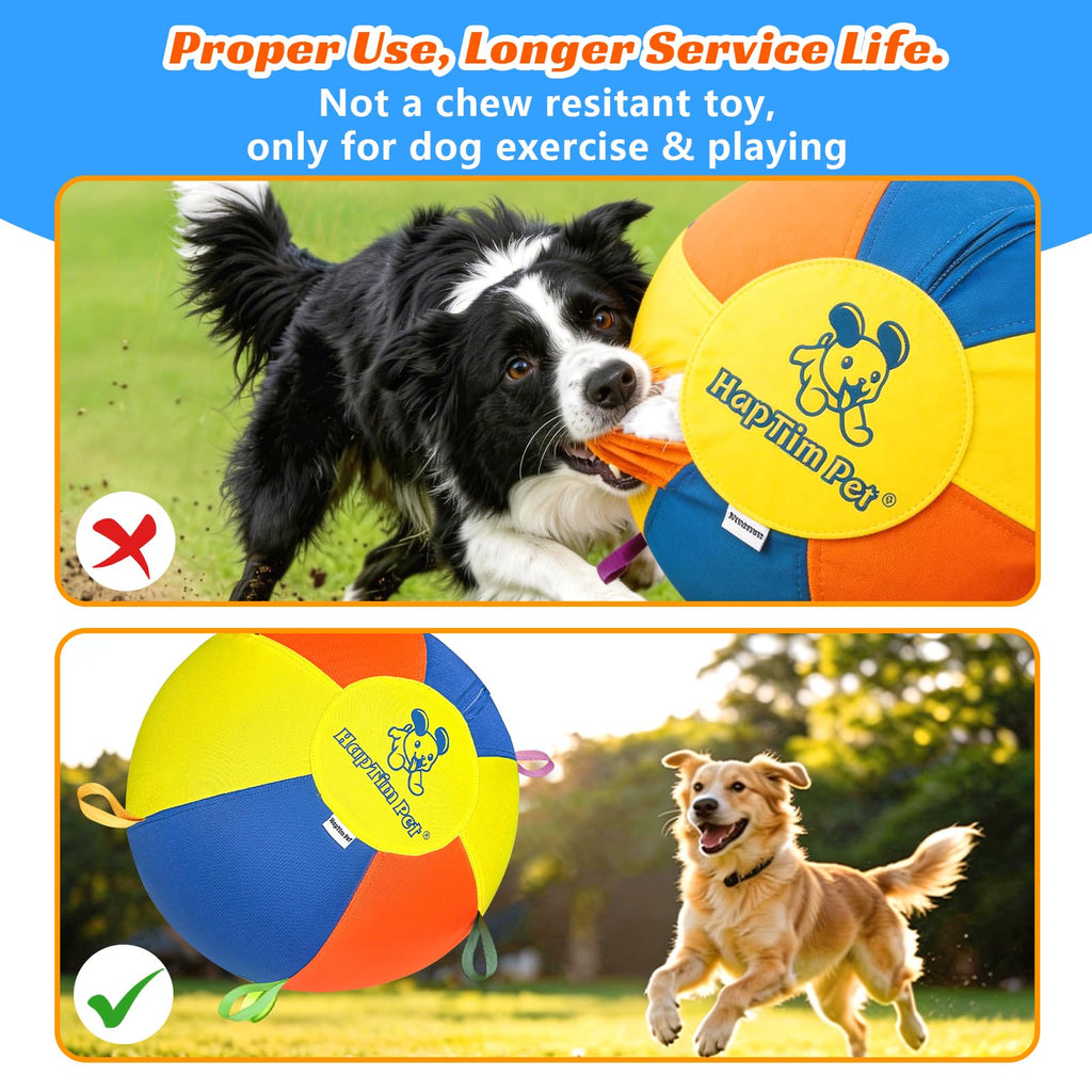 22" Heavy Duty Herding Ball for Dogs N1766