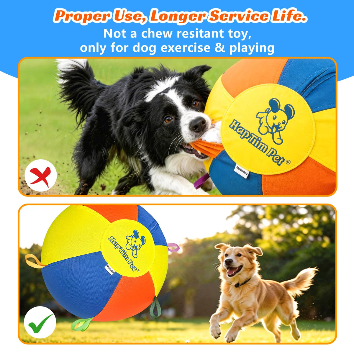 22" Heavy Duty Herding Ball for Dogs N1766