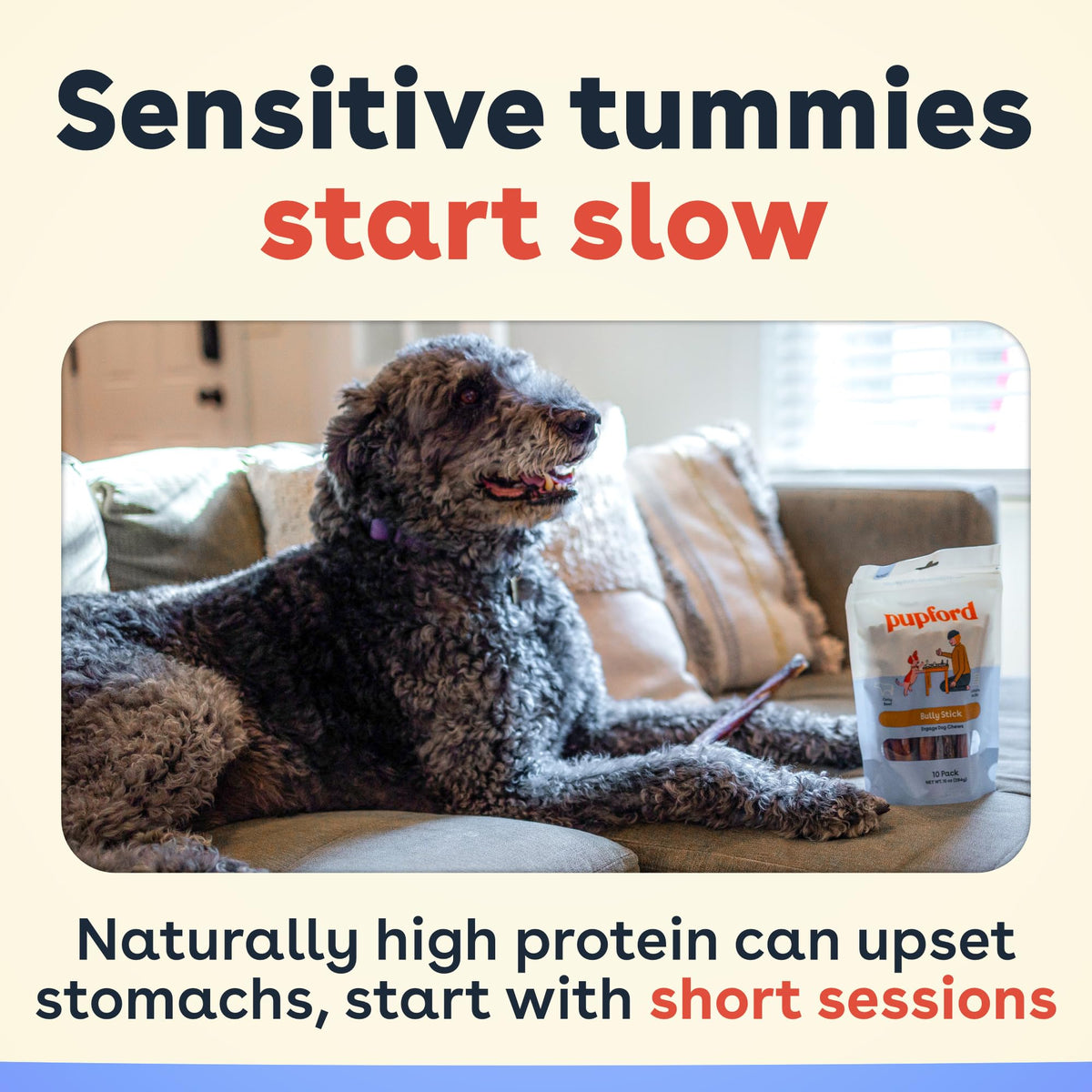 Bully Sticks for Dogs & Puppies, 6", 10 Count G2005