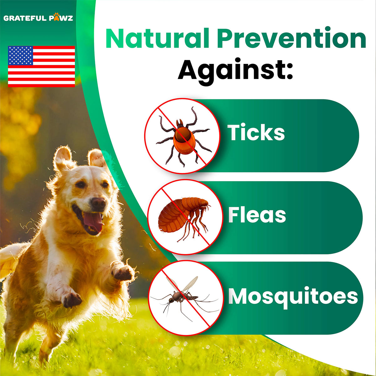 Flea and Tick Prevention for Dogs Chewables R991439