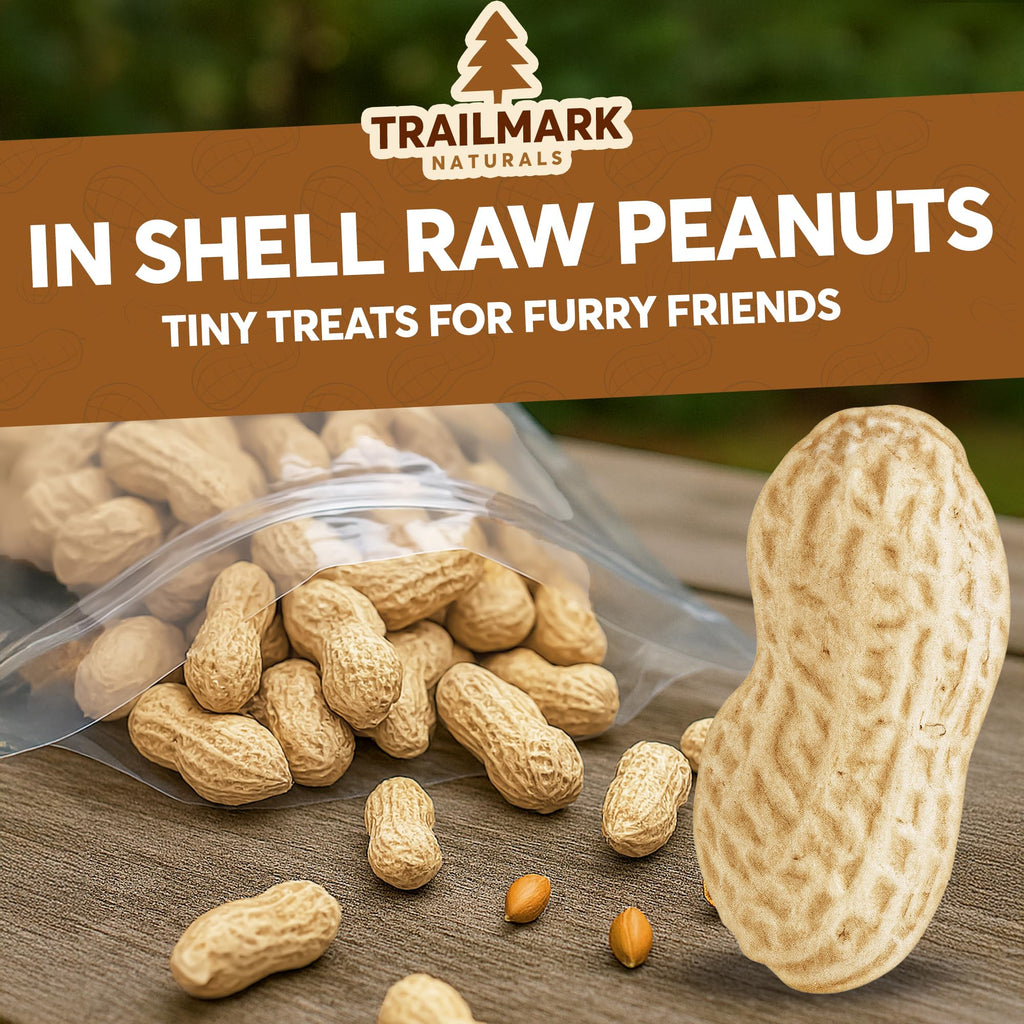 Raw Peanuts for Squirrels and Birds, 2 Pack of 5 Lb Bags Z13592