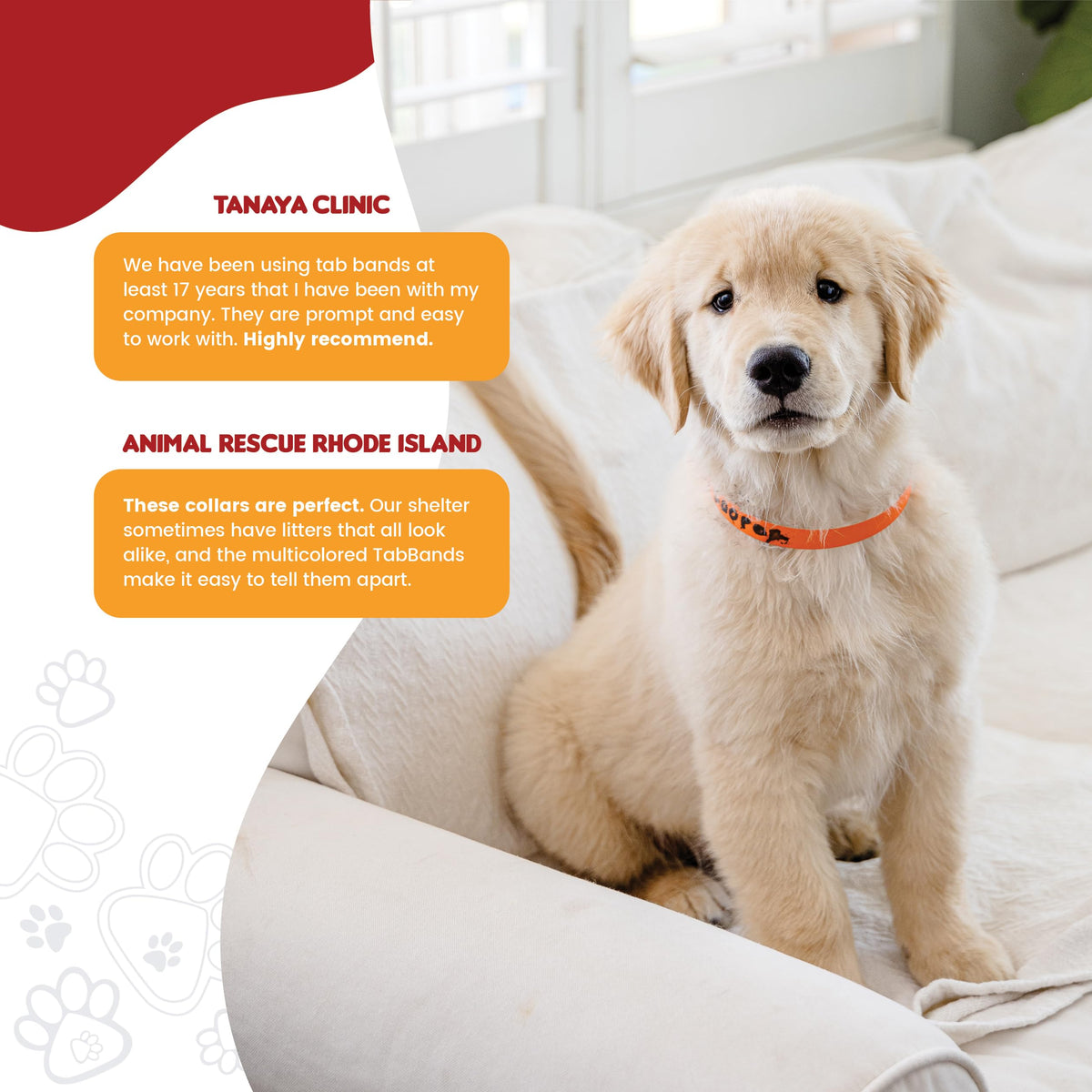 10 Inch 500 Count Waterproof Writable Pet ID Collars W377