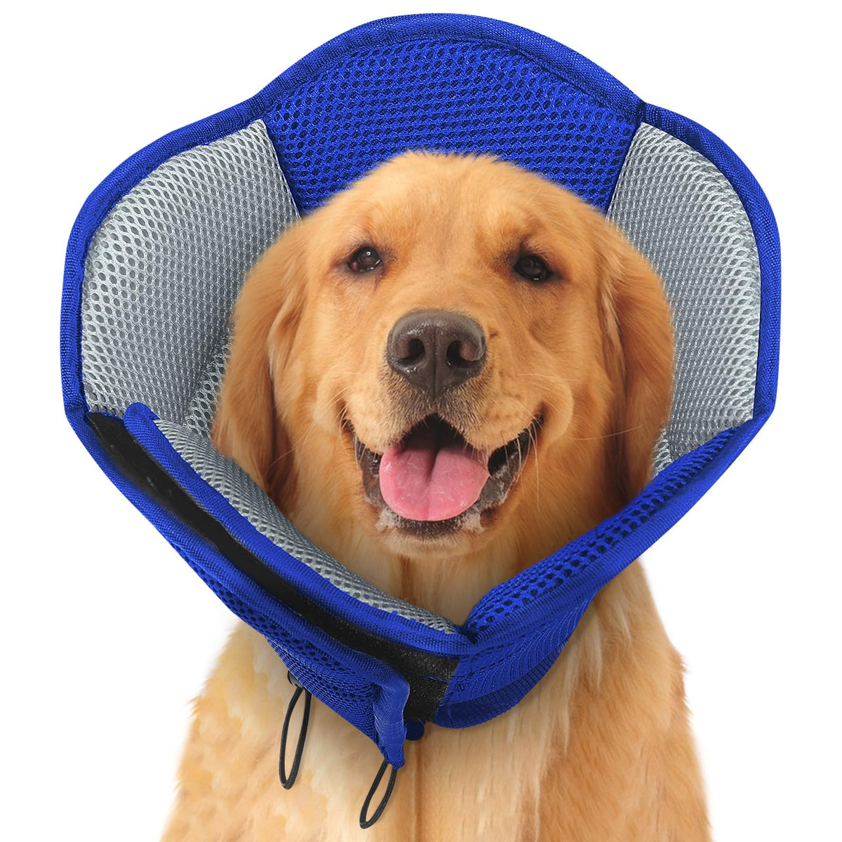 Soft Cone for Dogs G136368