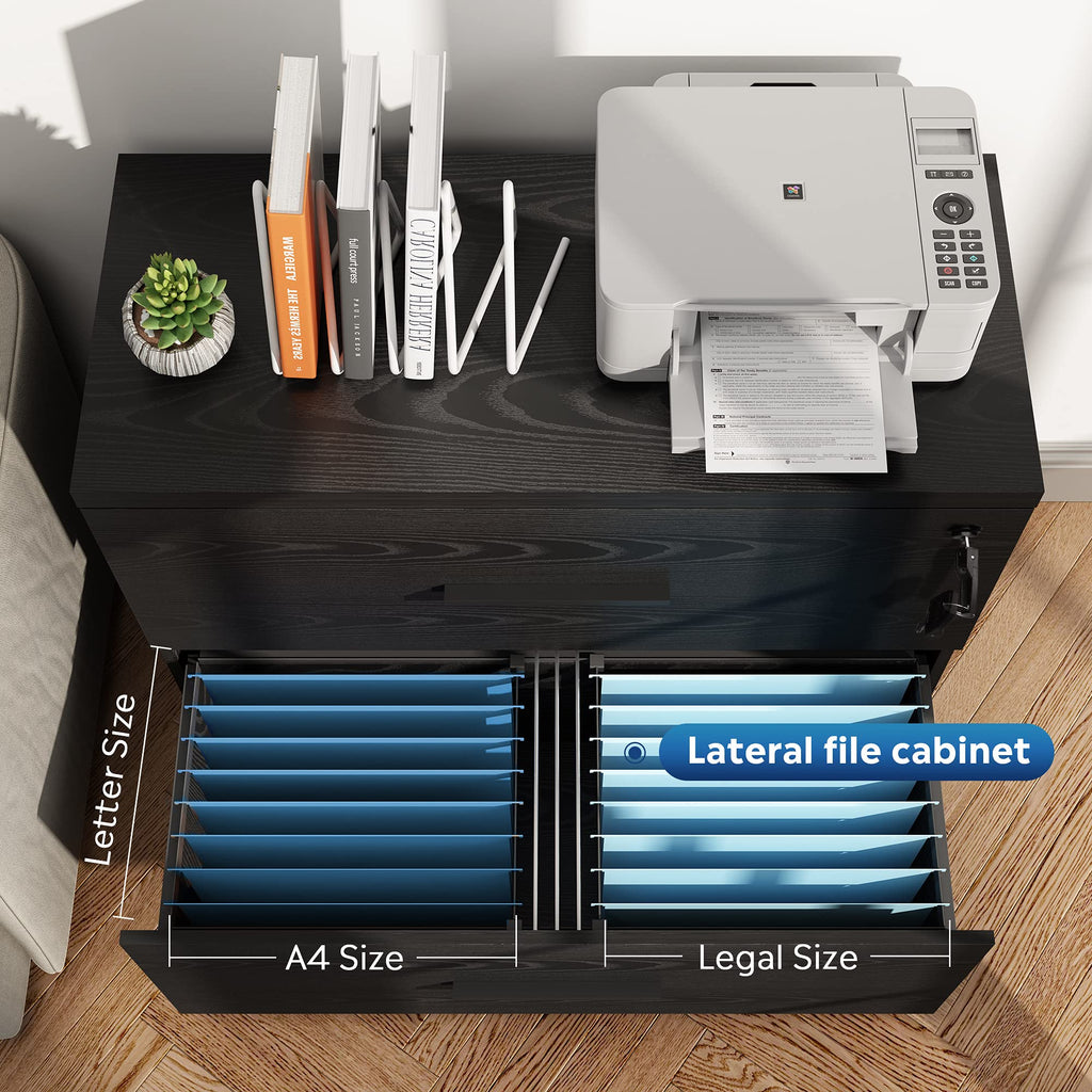 Black 2 Drawer Lateral File Cabinet with Lock E9190