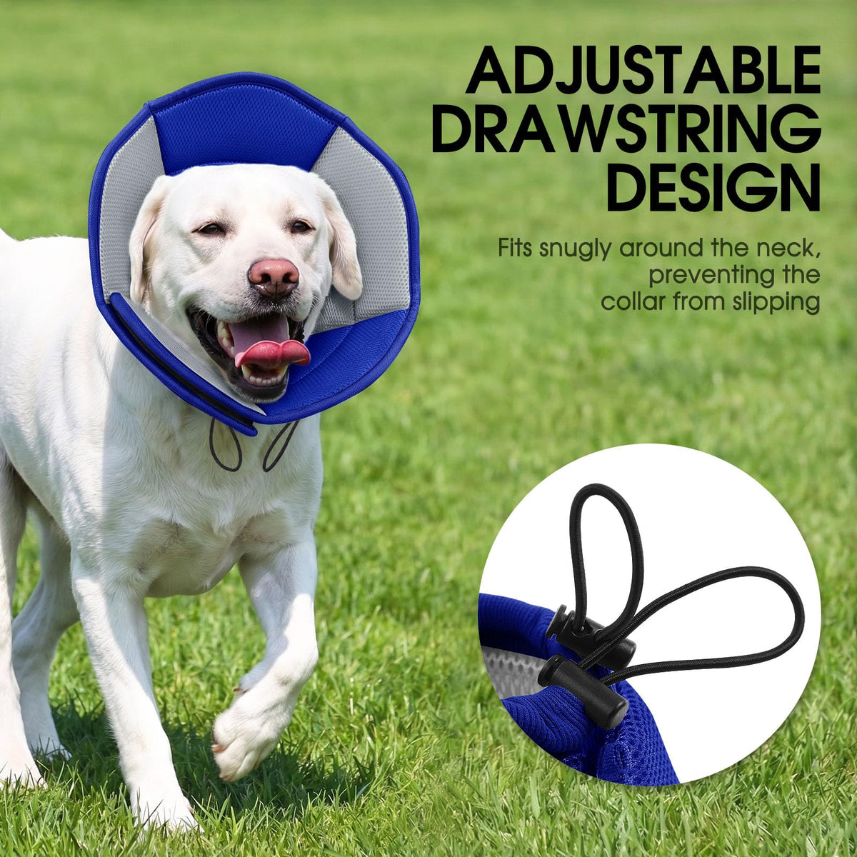 Soft Cone for Dogs G136368