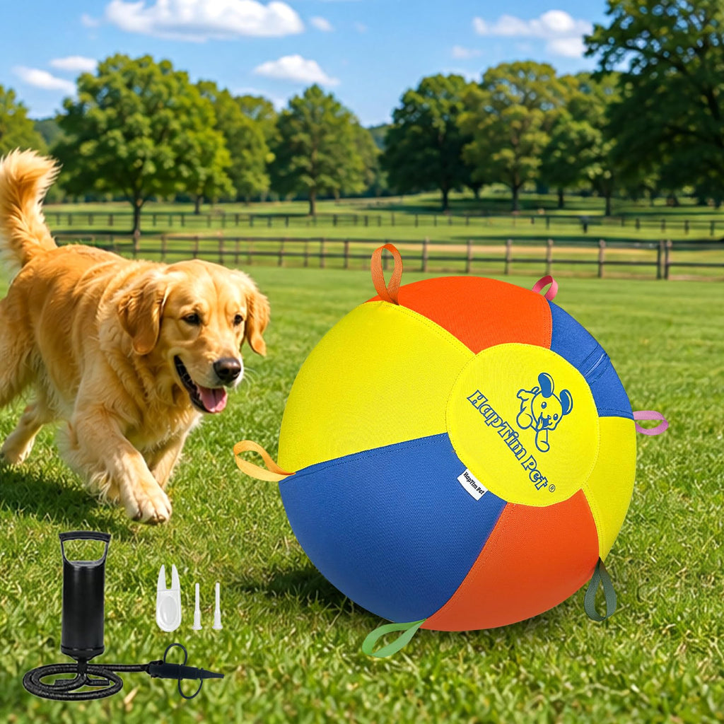 22" Heavy Duty Herding Ball for Dogs N1766