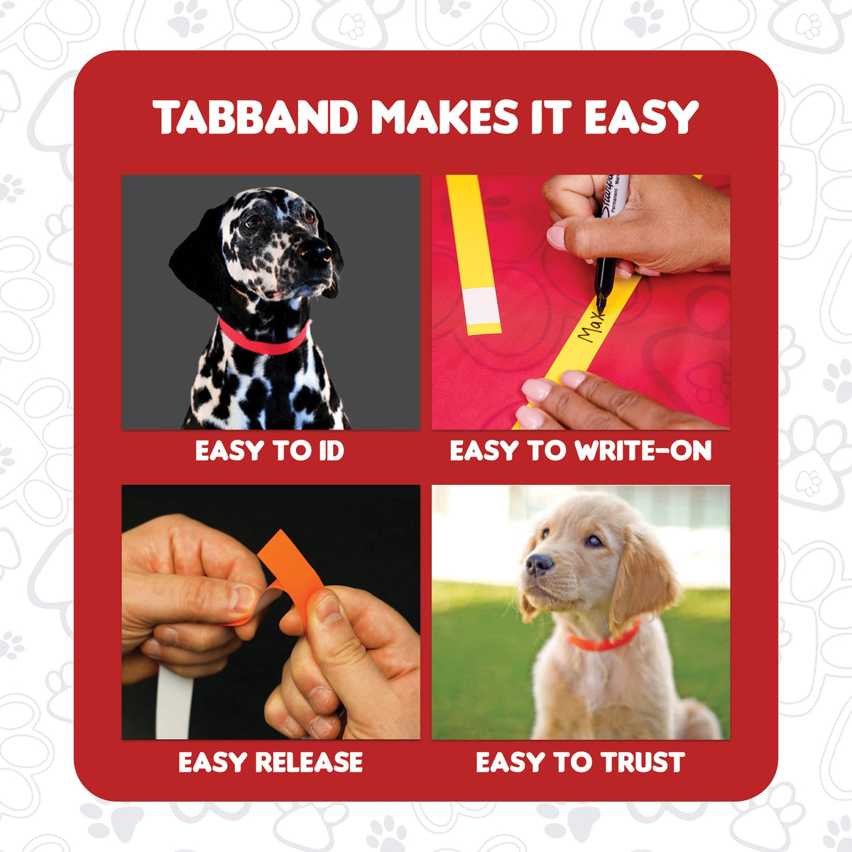10 Inch 500 Count Waterproof Writable Pet ID Collars W377