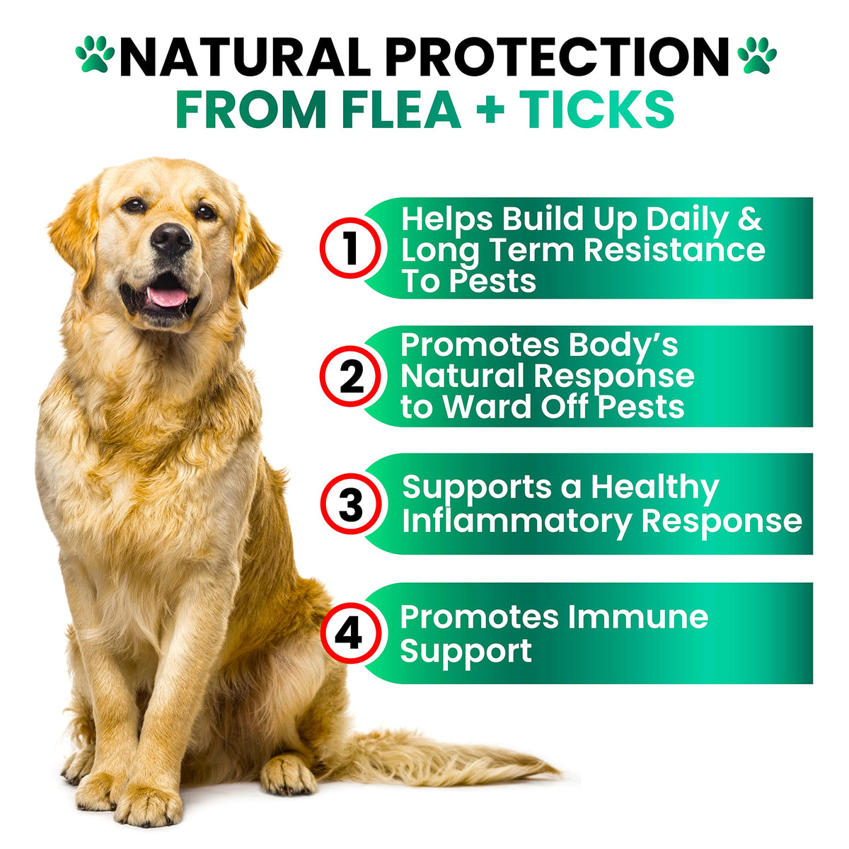 Flea and Tick Prevention for Dogs Chewables R991439